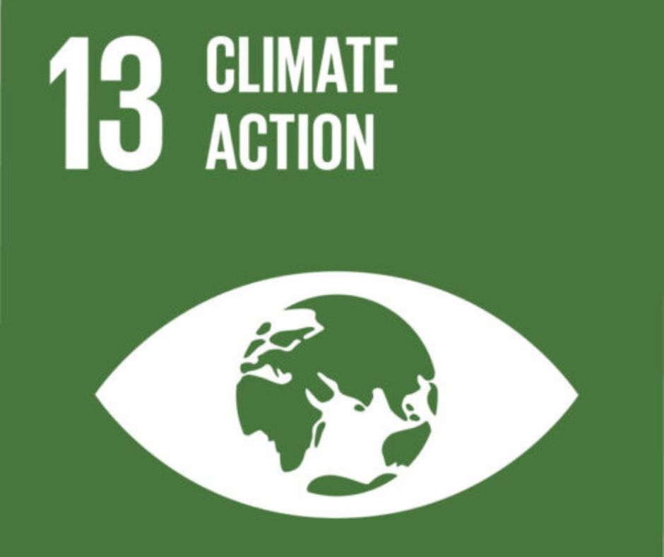 UNDP sdg13