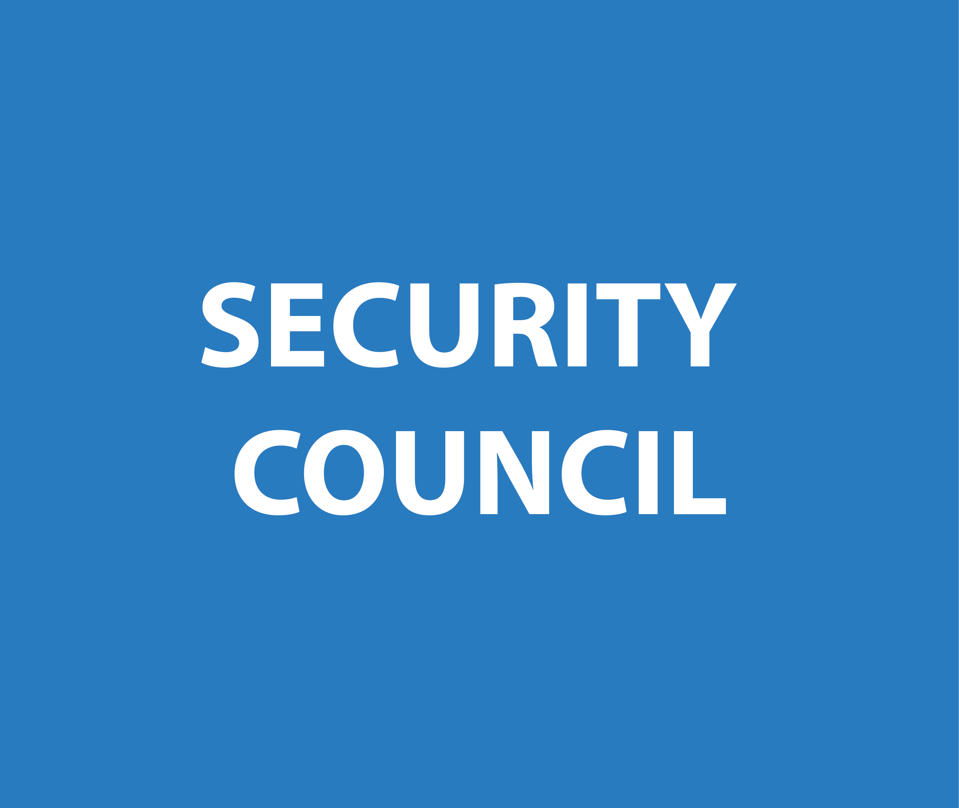 Security council